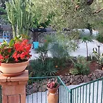 Le Anthos