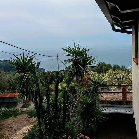 Le Anthos Couette-café Marina di Camerota